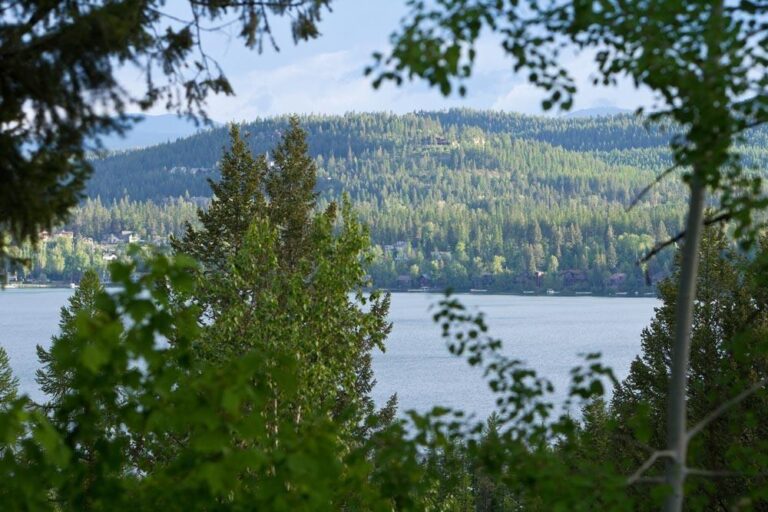 Whitefish Lake view from house through trees in summer. Feel, smell and hear the fresh breeze. 