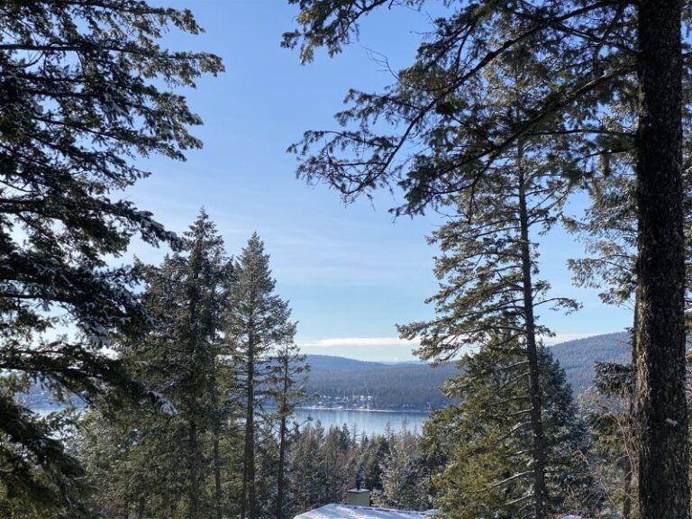 Whitefish Lake view form house in winter